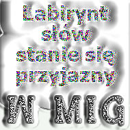 wwwmig.pl